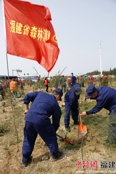 圖為森林消防員參加植樹活動。