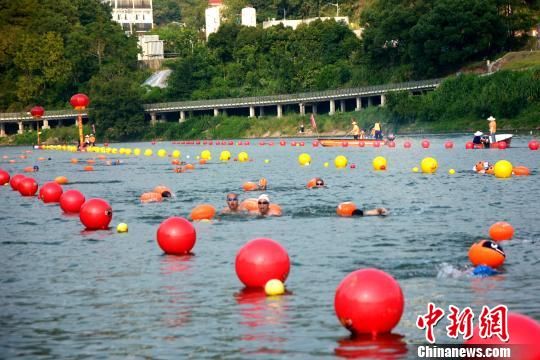 　　兩岸泳者“客家母親河”汀江水域角逐競(jìng)技。　龔雯 攝