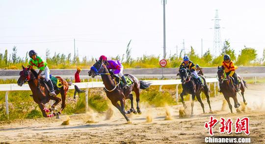 賽場上，駿馬風馳電掣般沖向終點。　姚謙 攝