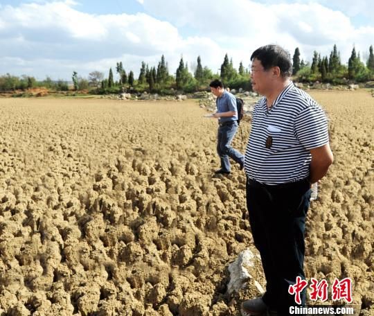 　近日，福耀玻璃工業(yè)集團(tuán)股份有限公司創(chuàng)始人、董事長，中國光彩事業(yè)促進(jìn)會副會長曹德旺接受中新社記者專訪。據(jù)了解，從1983年的第一筆2000元人民幣開始，到2018年他已捐出近50%的個人資產(chǎn)共110億元，用于慈善事業(yè)。2010年，得知中國西南五省遭受嚴(yán)重旱災(zāi)，曹德旺多次深入云、貴、川了解災(zāi)情，并捐款2億元，幫助近10萬受災(zāi)戶。圖為2010年5月19日，曹德旺在位于云南省陸良縣的天生壩水庫，這個原本庫容120萬立方米的水庫當(dāng)時已干涸見底?！＄娦?攝