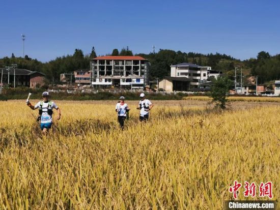 　　第八屆福州定向越野公開(kāi)賽11月10日在永泰縣大洋鎮(zhèn)舉行。來(lái)自福州、泉州、漳州、廈門等地的400多名定向運(yùn)動(dòng)愛(ài)好者于此開(kāi)啟了一場(chǎng)以莊寨文化為尋訪主題的越野盛會(huì)。圖為選手們?cè)诒荣愔?。　俞洪?biāo) 攝