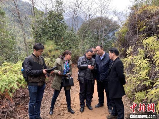 1月13日，武夷山國家公園管理局領(lǐng)導(dǎo)率生態(tài)部技術(shù)人員與執(zhí)法支隊(duì)人員核查中?！∥鋰珗@管理局 攝