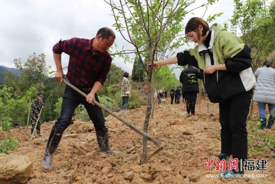 圖為機(jī)關(guān)干部職工三兩協(xié)作，揮鍬鏟土、扶苗培土。黃起青 攝副本